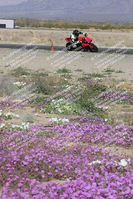 media/Feb-04-2023-SoCal Trackdays (Sat) [[8a776bf2c3]]/Turn 15 Inside Blooming (1050am)/